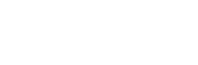 expert